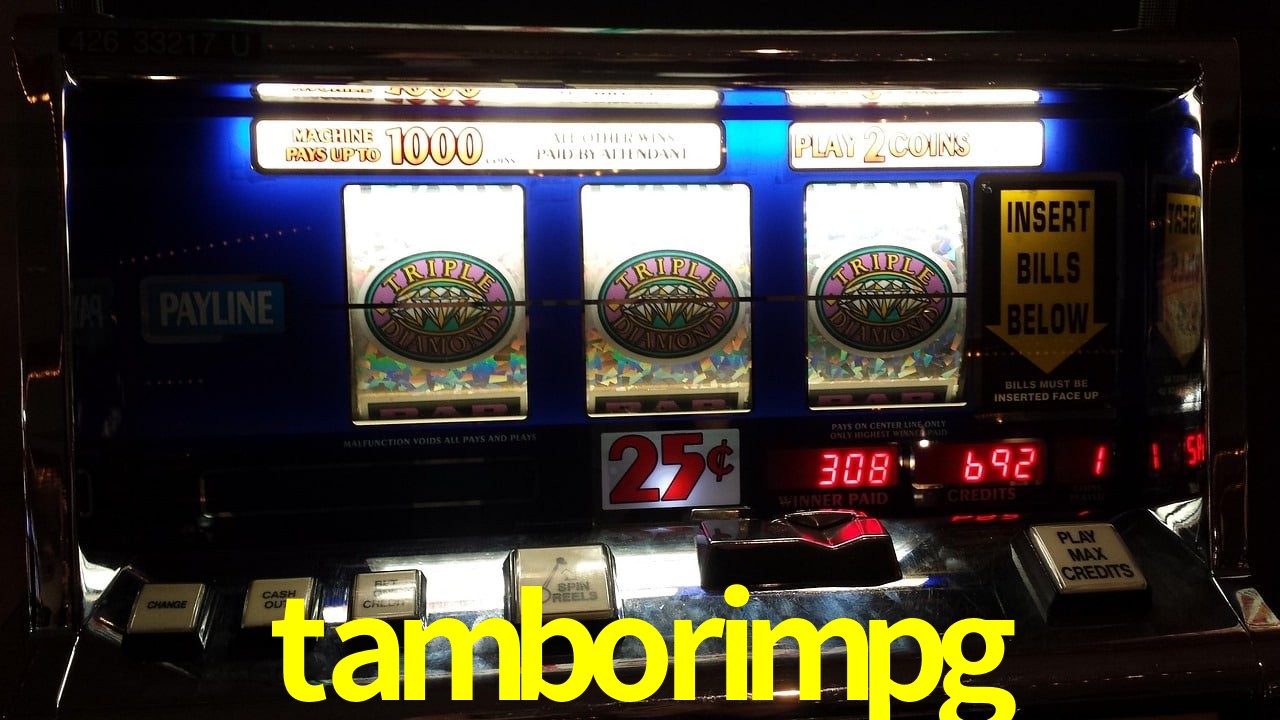 Experiência VIP tamborimpg