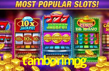 tamborimpg Salvador - Studio Tour