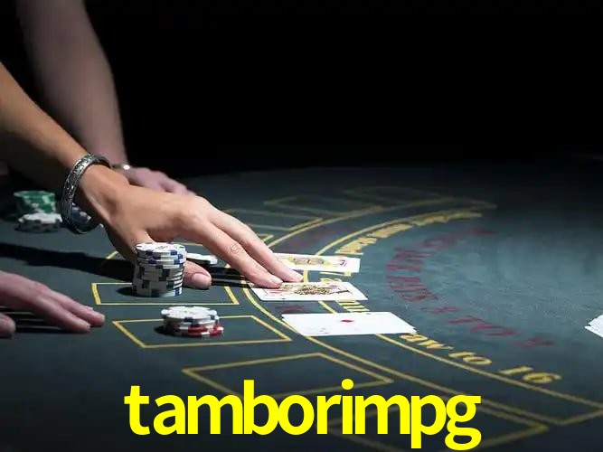 tamborimpg Fortaleza - Reviews