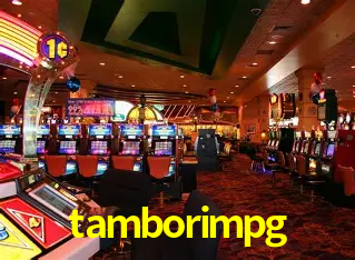 tamborimpg Curitiba - Live Status